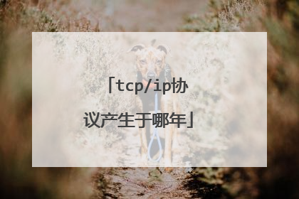 tcp/ip协议产生于哪年