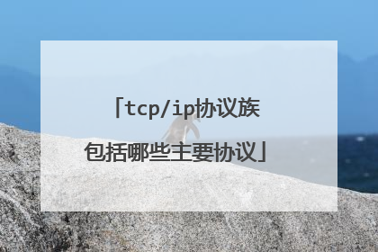 tcp/ip协议族包括哪些主要协议