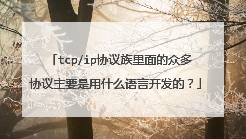 tcp/ip协议族里面的众多协议主要是用什么语言开发的?