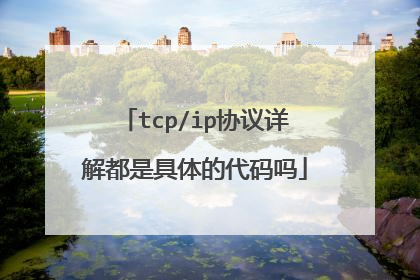 tcp/ip协议详解都是具体的代码吗