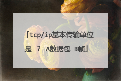 tcp/ip基本传输单位是 ？ A数据包 B帧