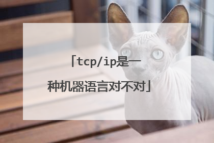 tcp/ip是一种机器语言对不对
