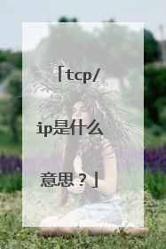 tcp/ip是什么意思?