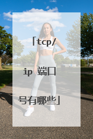 tcp/ip 端口号有哪些