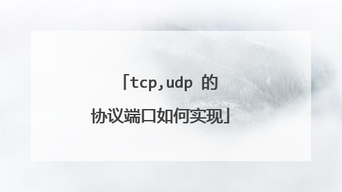 tcp,udp 的协议端口如何实现