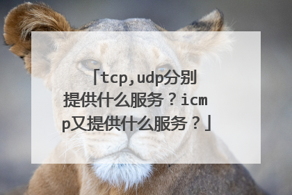 tcp,udp分别提供什么服务?icmp又提供什么服务?