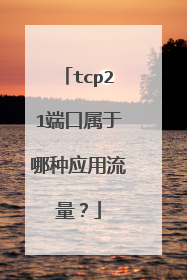 tcp21端口属于哪种应用流量？