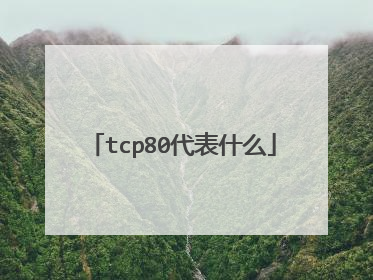 tcp80代表什么