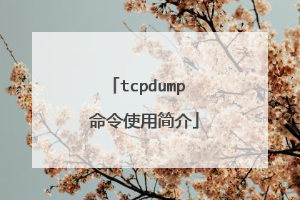 tcpdump 命令使用简介