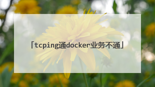 tcping通docker业务不通