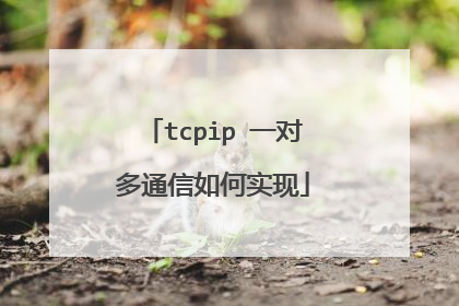 tcpip 一对多通信如何实现