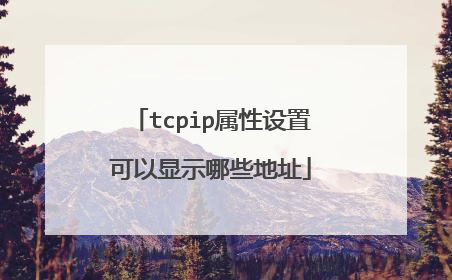 tcpip属性设置可以显示哪些地址