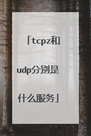 tcpz和udp分别是什么服务
