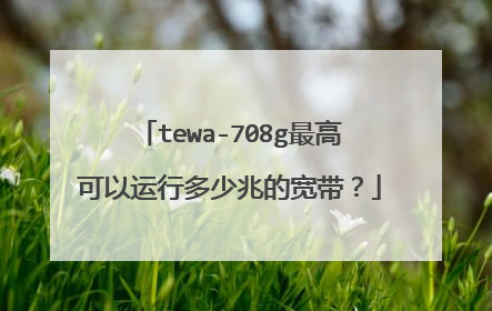 tewa-708g最高可以运行多少兆的宽带?