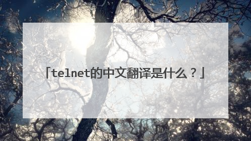 telnet的中文翻译是什么?