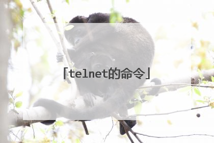 telnet的命令