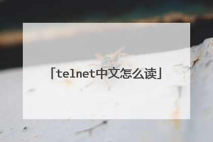 telnet中文怎么读