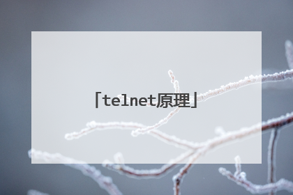 telnet原理