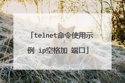 telnet命令使用示例 ip空格加 端口