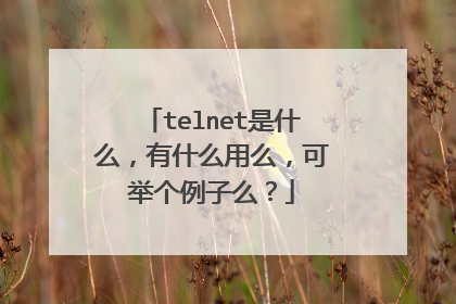 telnet是什么,有什么用么,可举个例子么?