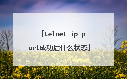 telnet ip port成功后什么状态