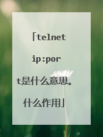 telnet ip:port是什么意思。什么作用