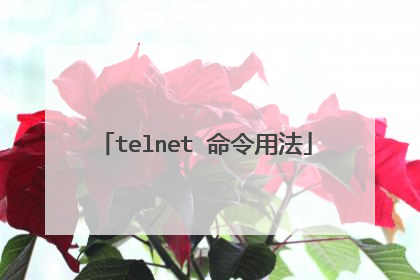 telnet 命令用法