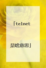 telnet 是啥意思
