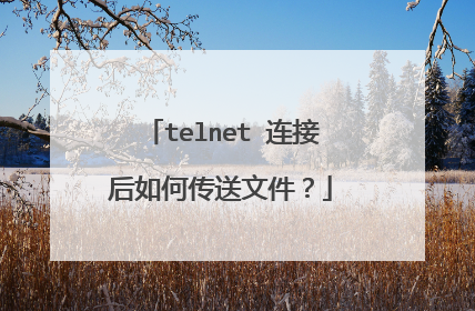telnet 连接后如何传送文件？