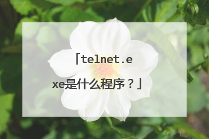 telnet.exe是什么程序?