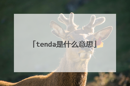 tenda是什么意思
