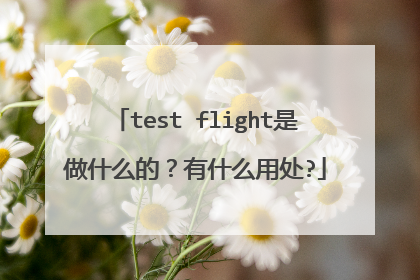 test flight是做什么的?有什么用处?