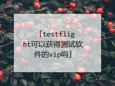 testflight可以获得测试软件的vip吗