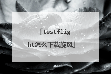 testflight怎么下载旋风