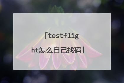 testflight怎么自己找码