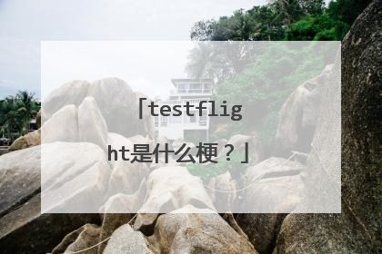 testflight是什么梗?