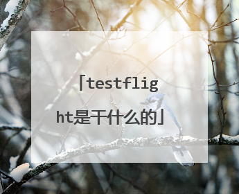 testflight是干什么的