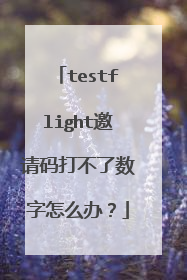 testflight邀请码打不了数字怎么办？