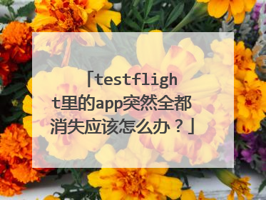 testflight里的app突然全都消失应该怎么办？