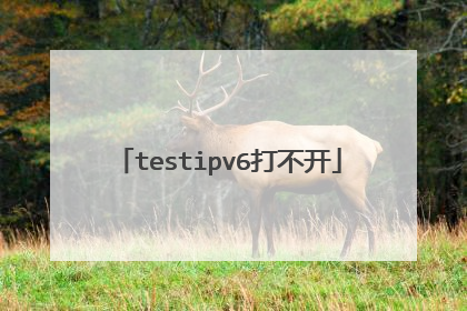 testipv6打不开