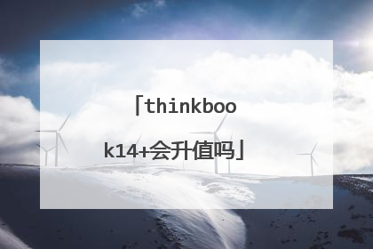 thinkbook14+会升值吗