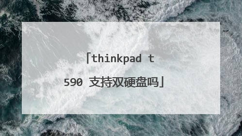 thinkpad t590 支持双硬盘吗