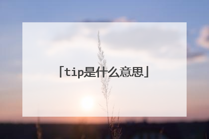 tip是什么意思