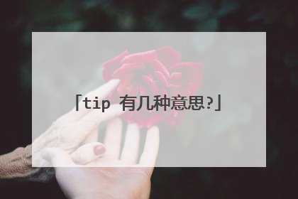 tip 有几种意思?