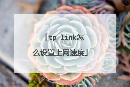 tp link怎么设置上网速度