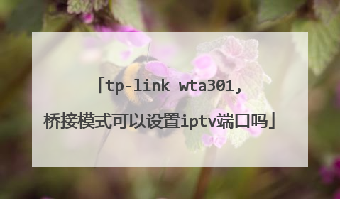 tp-link wta301,桥接模式可以设置iptv端口吗
