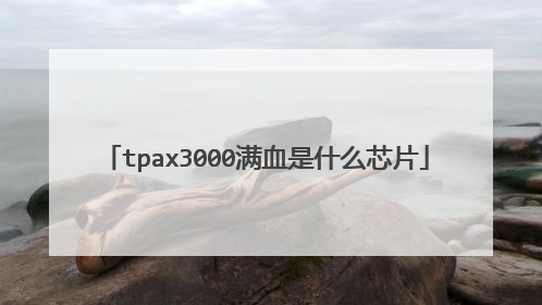 tpax3000满血是什么芯片
