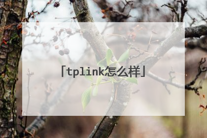 tplink怎么样