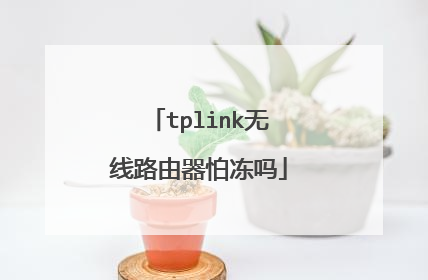 tplink无线路由器怕冻吗