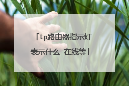 tp路由器指示灯表示什么 在线等